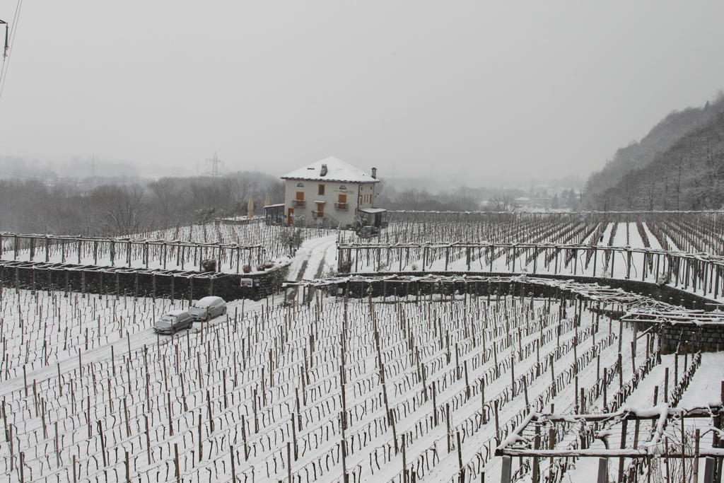 Fattoria L'Amorosa Sementina Kültér fotó