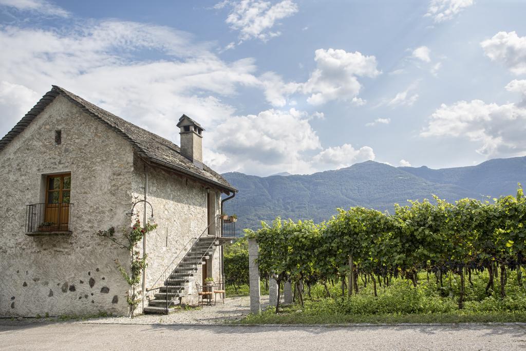 Fattoria L'Amorosa Sementina Kültér fotó