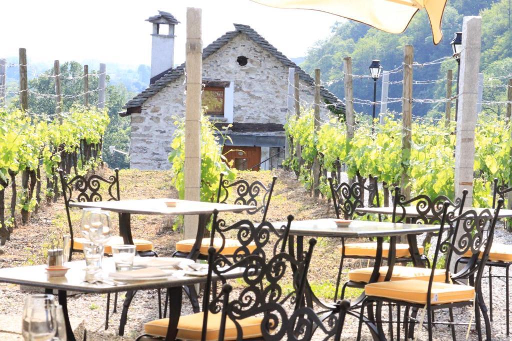 Fattoria L'Amorosa Sementina Kültér fotó